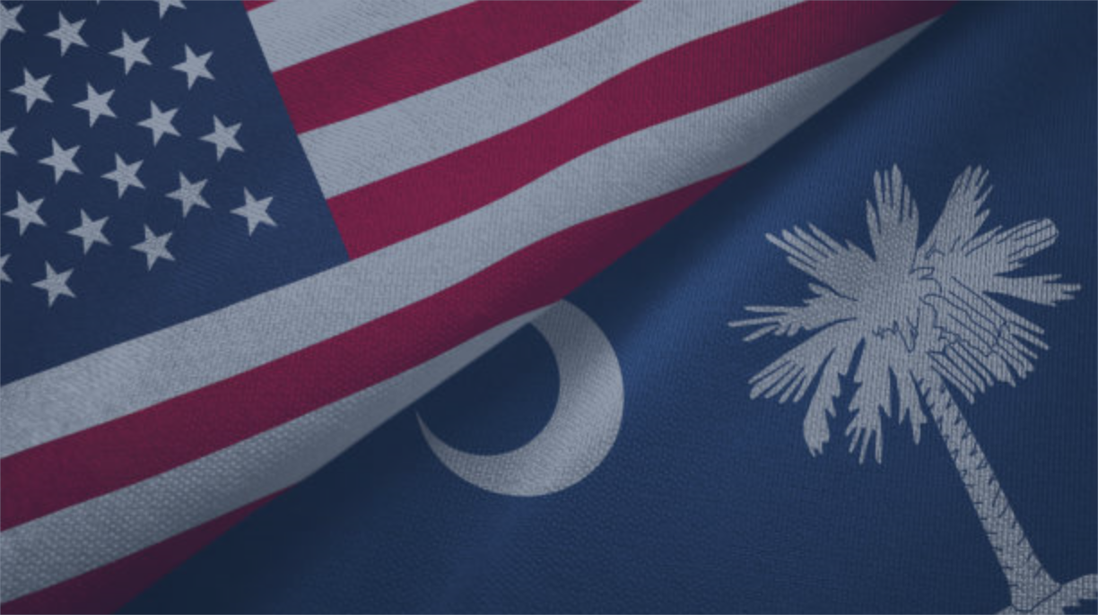 image image from Dorchester Country South Carolina Blue Note newsletter of American flag and SC symbols